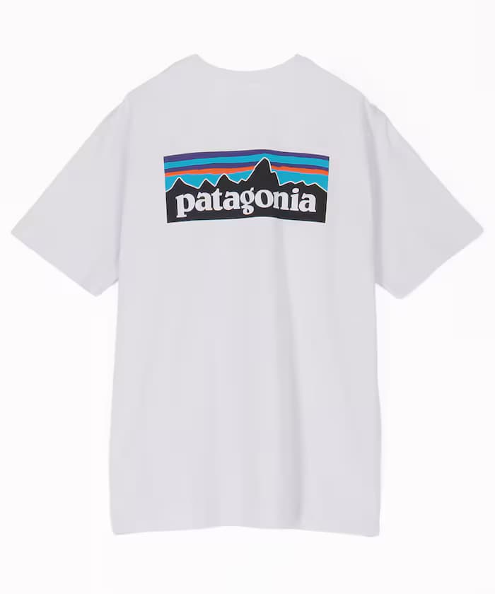 Patagonia 男款 P-6 Logo 責任系列 短袖T恤